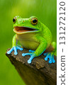 Blue hand frog 131272120
