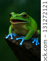Blue hand frog 131272121