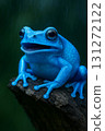 Blue hand frog 131272122