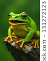Blue hand frog 131272123
