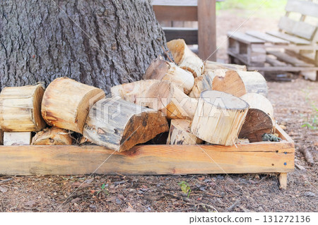 Woodpile fresh cut logs near tree. Storage of firewood. Firewood warehouse in countryside. Woodpile fresh cut logs near tree. Storage of firewood. Firewood warehouse in countryside. 131272136