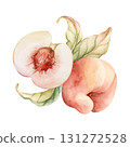 Peach fruits with leaves. Watercolor hand drawn floral summer food illustration isolated on white background home kitchen textile fresh fabric print card cosmetic package porcelain crockery label 131272528