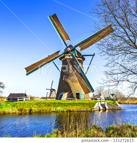 Traditional Holland scenery - windmills in Kinderdijk 131272615