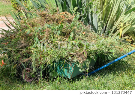 Pile of cut branches and mowed grass. Grass clippings for mulching in countryside garden. Gardening and landscaping. Sunny day. Pile of cut branches and mowed grass. Grass clippings for mulching in countryside garden. Gardening and landscaping. Sunny day. 131273447