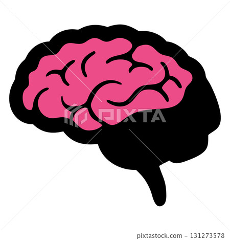 A presents a human brain with pink interior and black outline A presents a human brain with pink interior and black outline 131273578