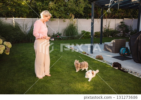 Woman playing with domestic cats in backyard using pet toy Woman playing with domestic cats in backyard using pet toy 131273686