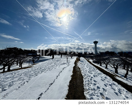 Winter scenery of Goryokaku - Colorful clouds Winter scenery of Goryokaku - Colorful clouds 131274054