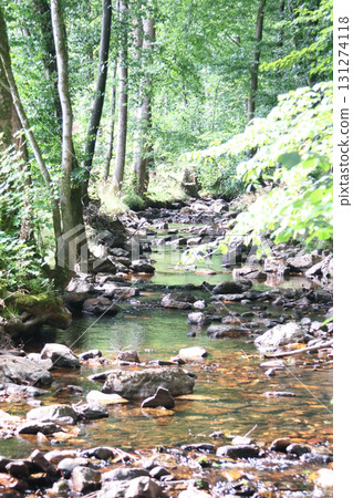 in the forest 131274118