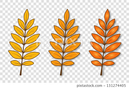 A set of bright, simple autumn leaves of yellow-orange color on a transparent background. 131274405