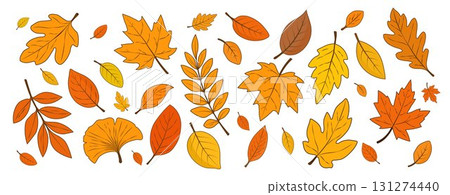 Autumn set of leaves of different shapes and colors on a white background. 131274440