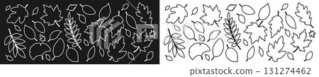 A large set of contours of white and black autumn leaves of different shapes. A large set of contours of white and black autumn leaves of different shapes. 131274462