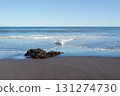 Seaweed on the seashore 131274730
