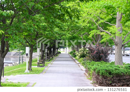 Niigata Prefectural Sports Park (Niigata Prefecture) Niigata Prefectural Sports Park (Niigata Prefecture) 131276581
