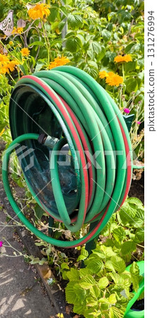 Garden hose on a reel among bright flowers 131276994