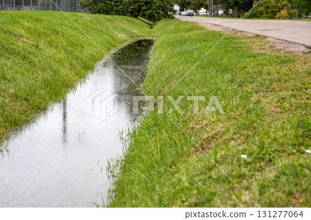 Water drainage ditch along rural roadside after rain with green grass and shallow water Water drainage ditch along rural roadside after rain with green grass and shallow water 131277064