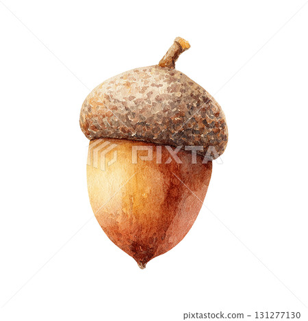 橡實的簡單插圖 | 秋天，堅果，透明PNG 131277130
