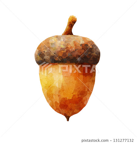 橡實的簡單插圖 | 秋天，堅果，透明PNG 131277132