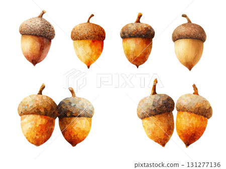 Illustration material of multiple acorn sets | Autumn, nuts, transparent PNG Illustration material of multiple acorn sets | Autumn, nuts, transparent PNG 131277136
