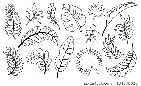 2630_palm_set 2630_palm_set 131279026