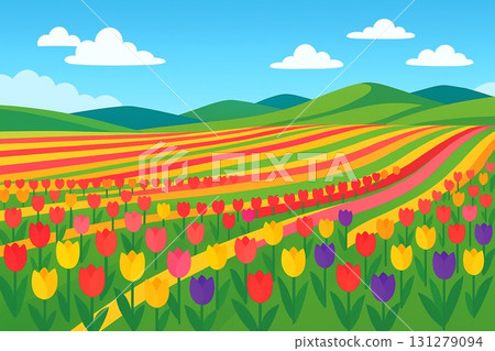 Tulip field vector 131279094