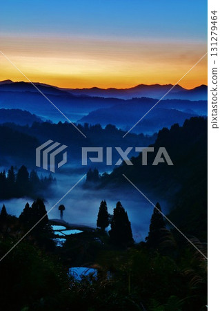 Yamakoshi Rice Terrace Unkai Seiyaki的黎明 131279464