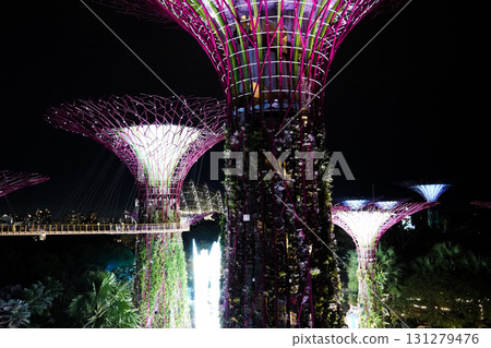 Night view of Gardens by the Bay 131279476