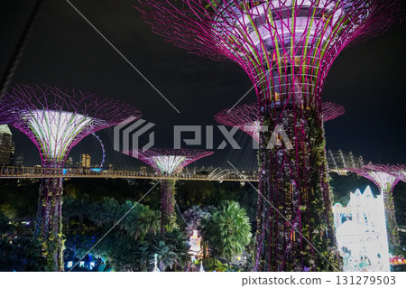 Night view of Gardens by the Bay 131279503