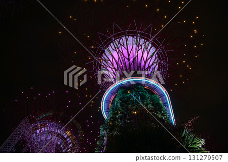 Night view of Gardens by the Bay 131279507