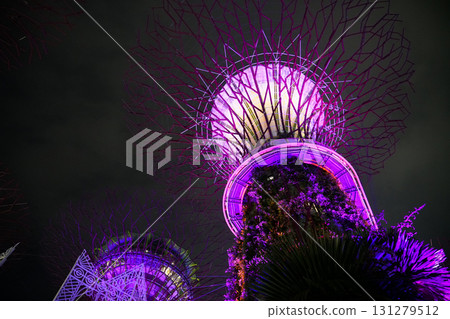 Night view of Gardens by the Bay 131279512