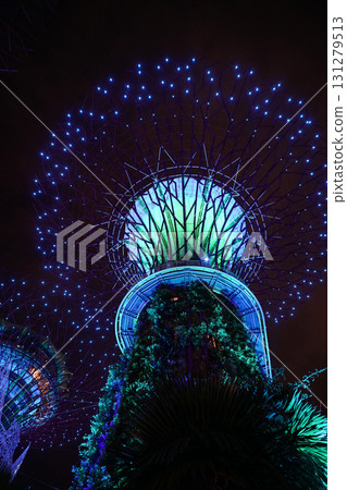 Night view of Gardens by the Bay 131279513