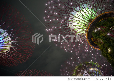 Night view of Gardens by the Bay Night view of Gardens by the Bay 131279514