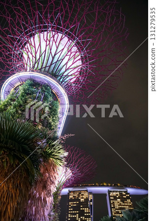 Night view of Gardens by the Bay 131279535