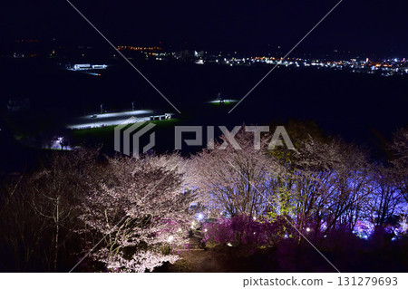 Cherry blossoms at night in Bihoro Town Cherry blossoms at night in Bihoro Town 131279693