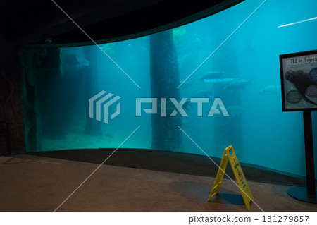 River Wonder's Amazon Flooded Forest 131279857