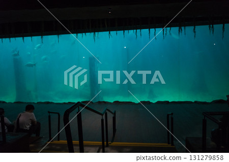 River Wonder's Amazon Flooded Forest River Wonder's Amazon Flooded Forest 131279858