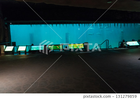 River Wonder's Amazon Flooded Forest 131279859