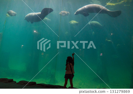 River Wonder's Amazon Flooded Forest 131279869