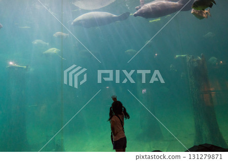 河流奇蹟的亞馬遜洪氾森林 131279871