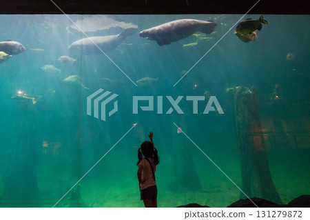 河流奇蹟的亞馬遜洪氾森林 131279872