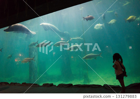 River Wonder's Amazon Flooded Forest 131279883