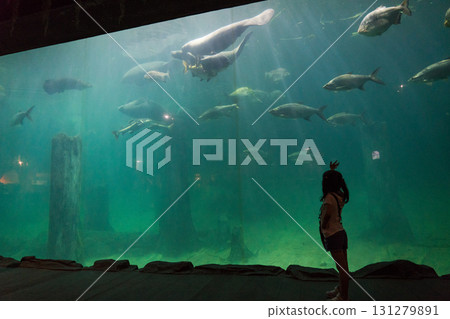 River Wonder's Amazon Flooded Forest 131279891