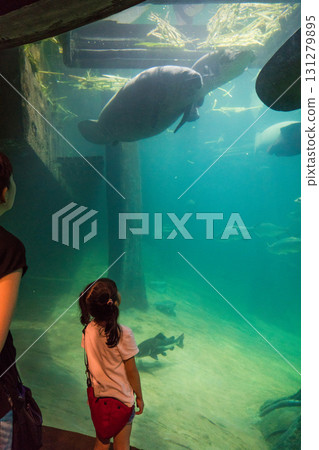 River Wonder's Amazon Flooded Forest 131279895