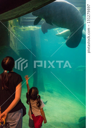 River Wonder's Amazon Flooded Forest 131279897