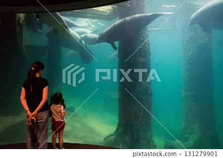 River Wonder's Amazon Flooded Forest 131279901