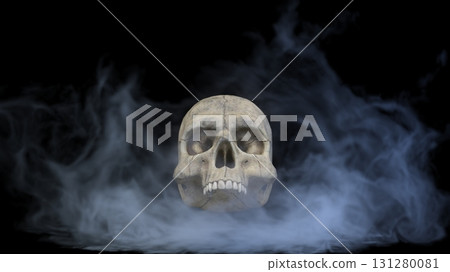 skull skull 131280081