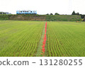 Red Road and Shigaraki Kogen Railway 131280255