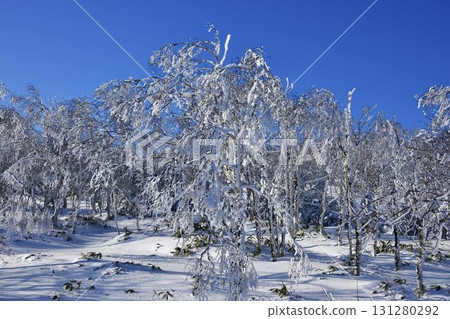 Moss mountain ice 131280292