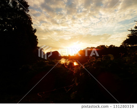 令人眼花sunset亂的日落 令人眼花sunset亂的日落 131280319