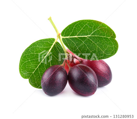 Carunda or Karonda fruits isolated on white background Carunda or Karonda fruits isolated on white background 131280953