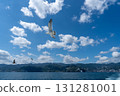 Cruise the seas of Atami where seagulls fly 131281001